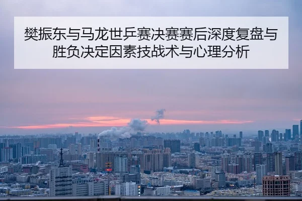 fan-zhen-dong-yu-ma-long-shi-ping-sai-jue-sai-sai-hou-shen-du-fu-pan-yu-sheng-fu-jue-ding-yin-su-ji-zhan-shu-yu-xin-li-2-215.jpg