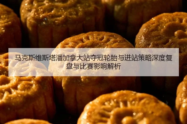 马克斯维斯塔潘加拿大站夺冠轮胎与进站策略深度复盘与比赛影响解析